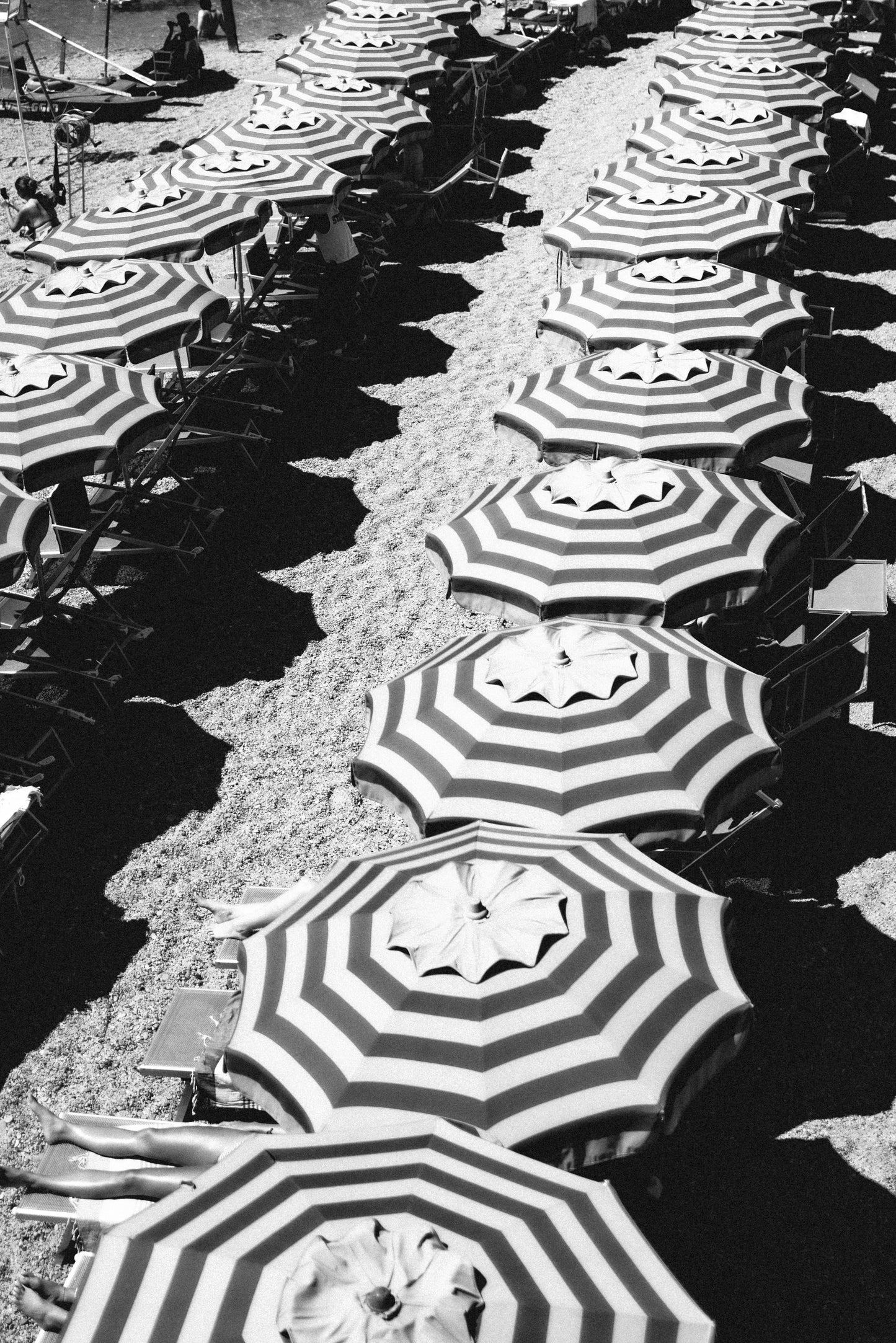 Umbrella